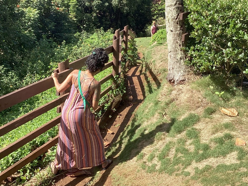 Beach Path