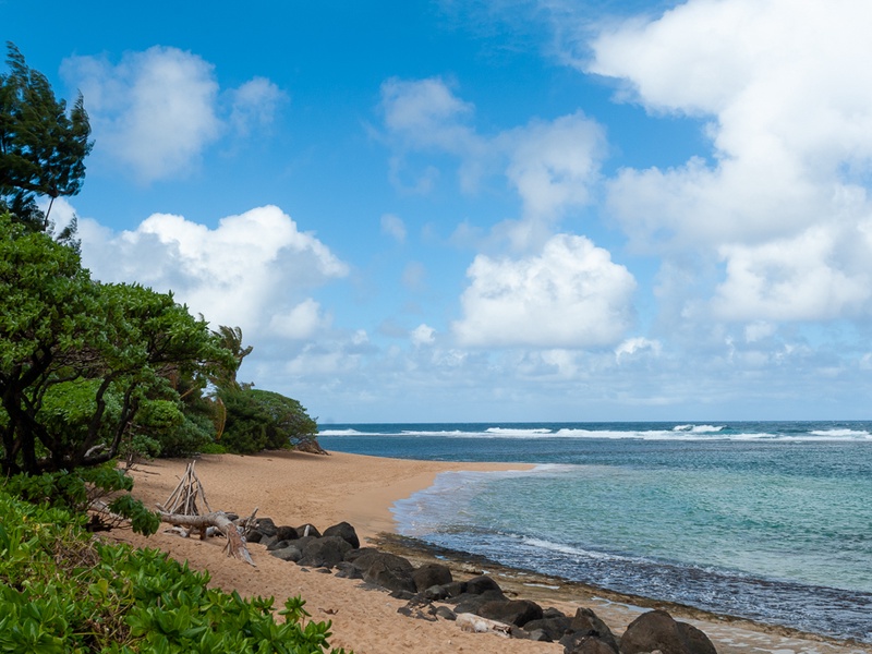 Hanalei Colony Resort beach north shore Kauai