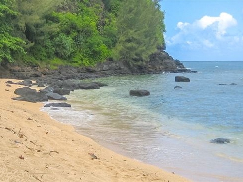 Kauai Kahuna Vacation Rentals | Sealodge beach