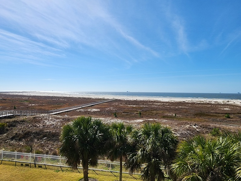 view of palms, beach & boardwalk