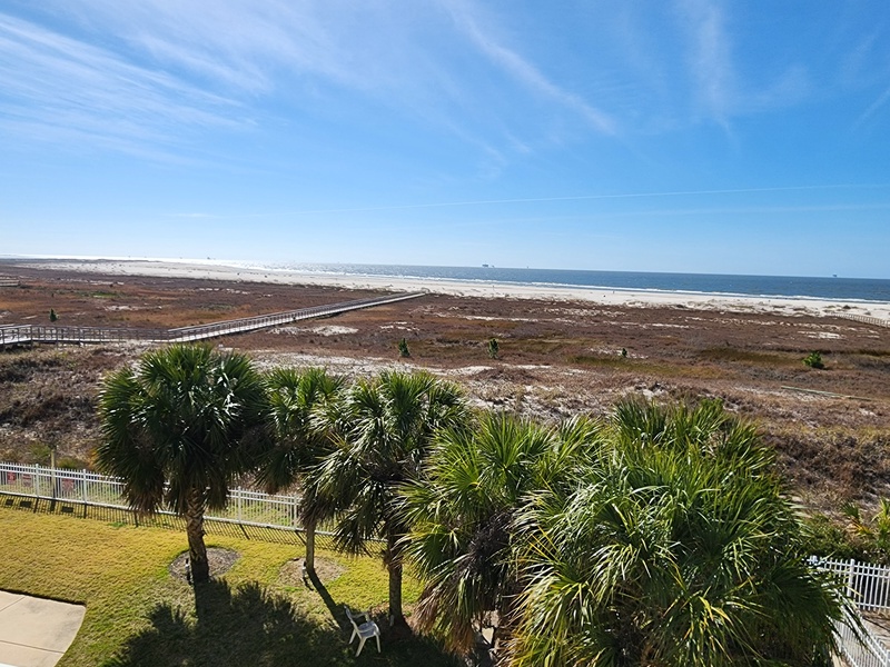 view of palms & beach