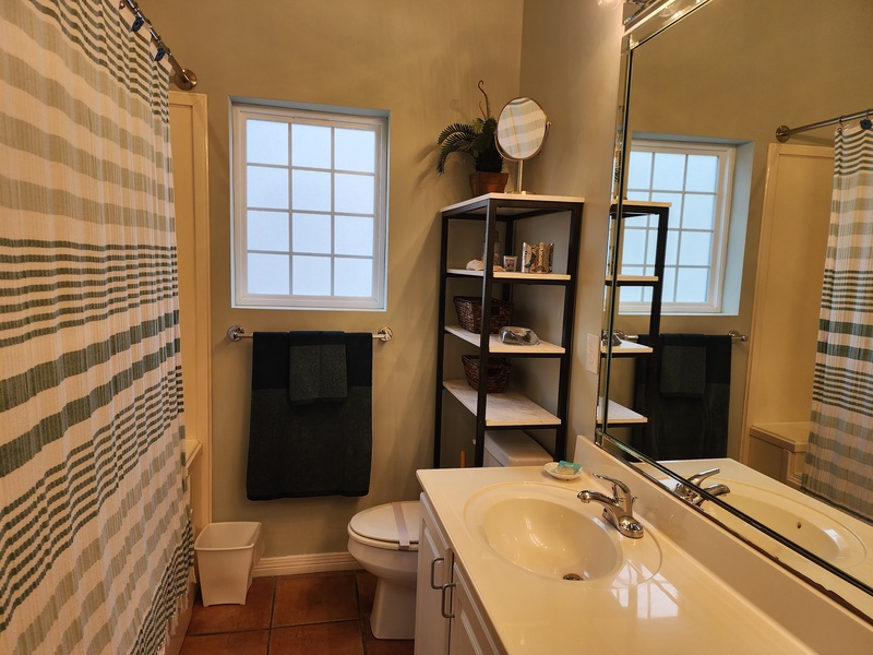 master bathroom toilet