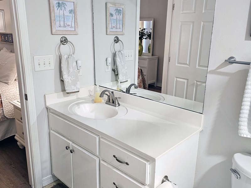 master bathroom counter & mirror