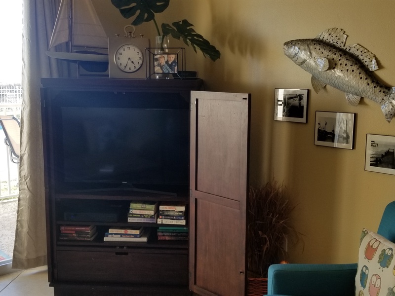 living room chair & TV