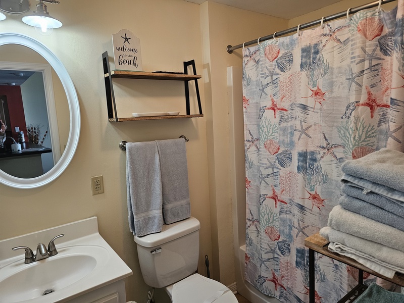 Guest Bath
