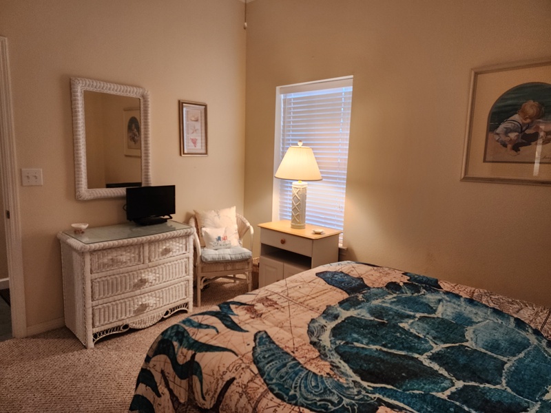 front bedroom TV