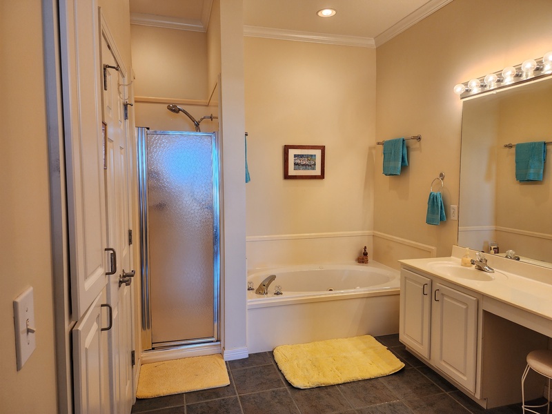 bath & shower in master bathroom