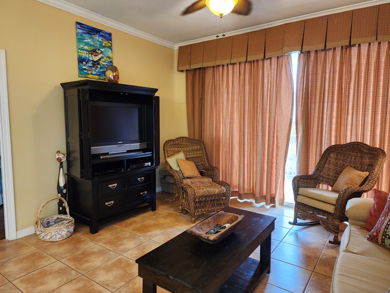 living room TV