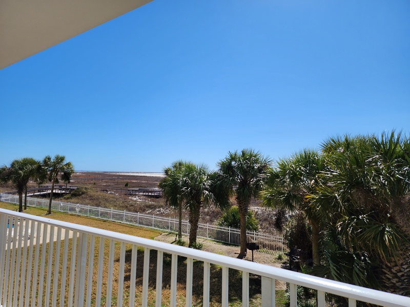 view of palms & boardwalk
