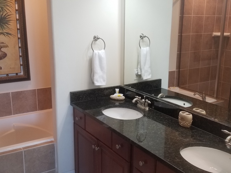 master bathroom counter