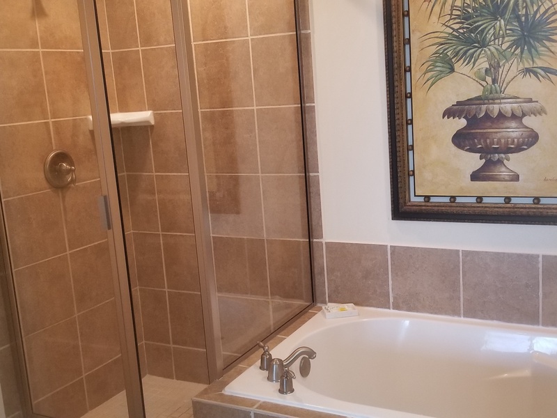 master bathroom shower & bath
