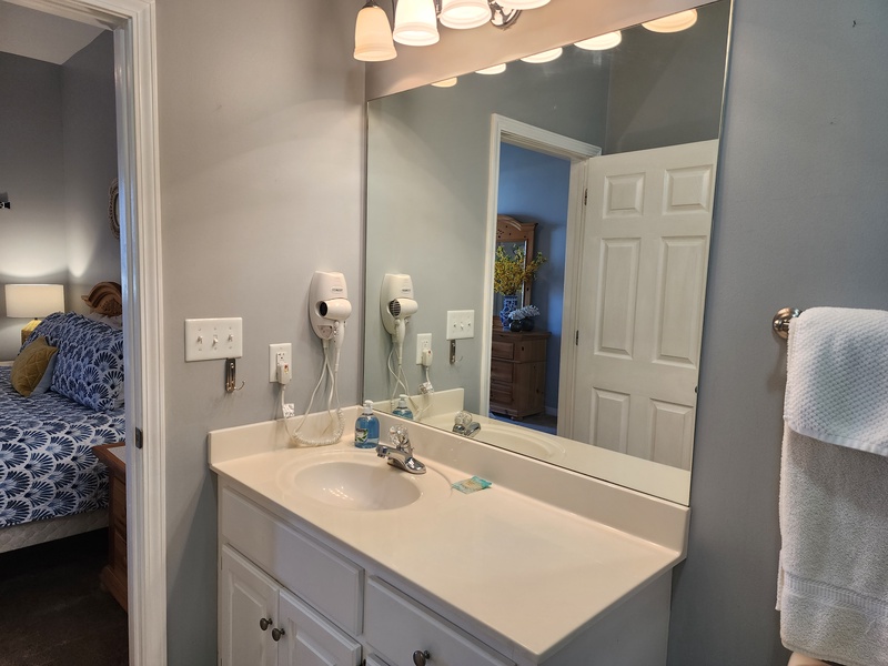 master bathroom sink & mirror