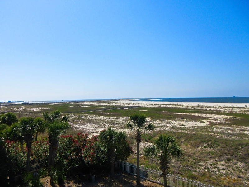 view from balcony