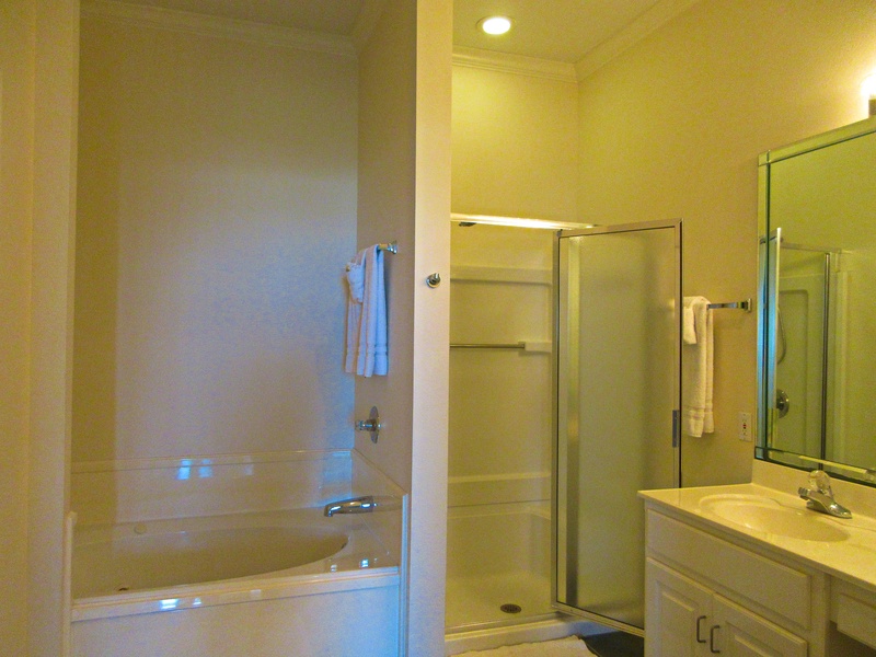 counter, shower & bath