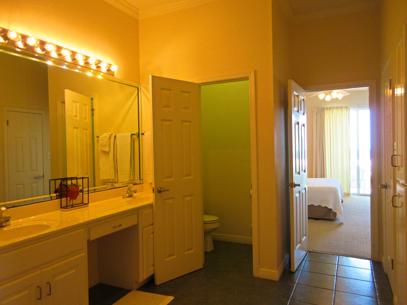 toilet in master bathroom