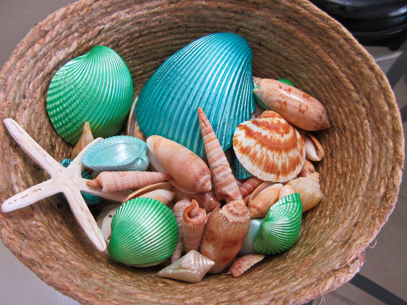 shell basket