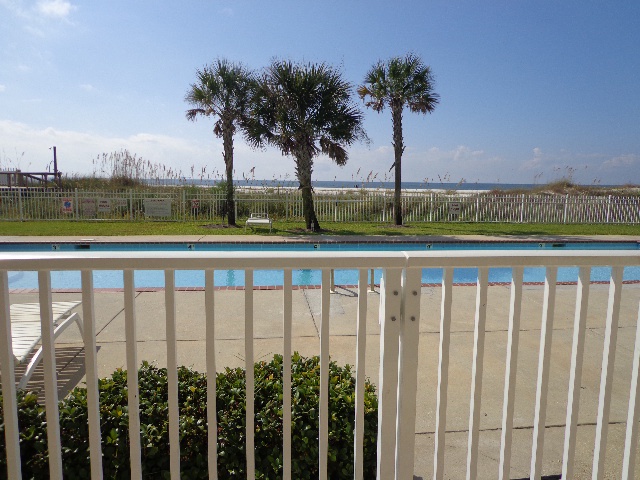 palm & pool view
