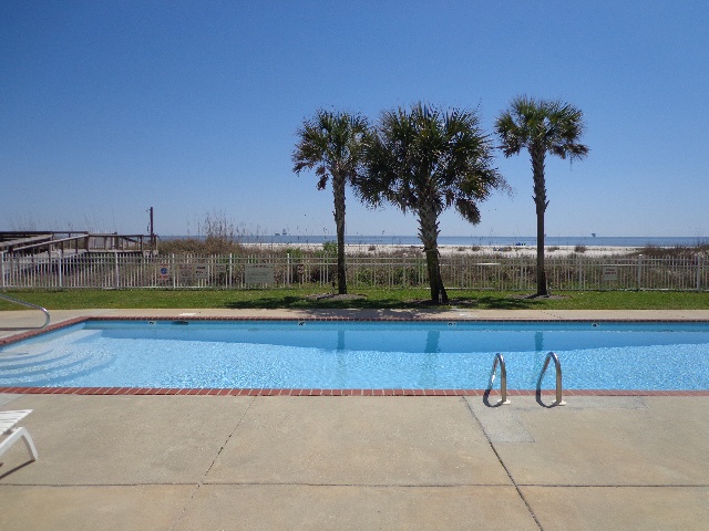view of palms from outside of balcony