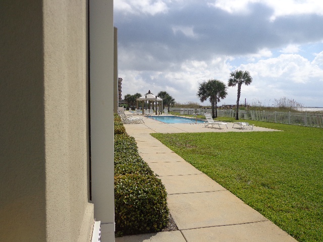 patio view of pool 