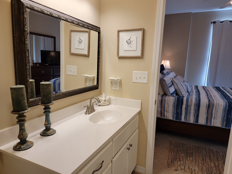master bathroom sink & mirror