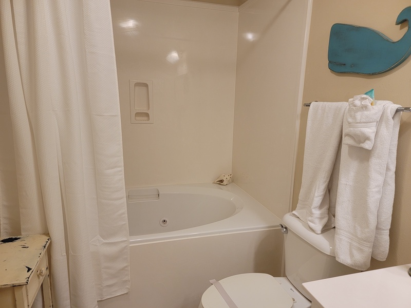 master bathroom bathtub