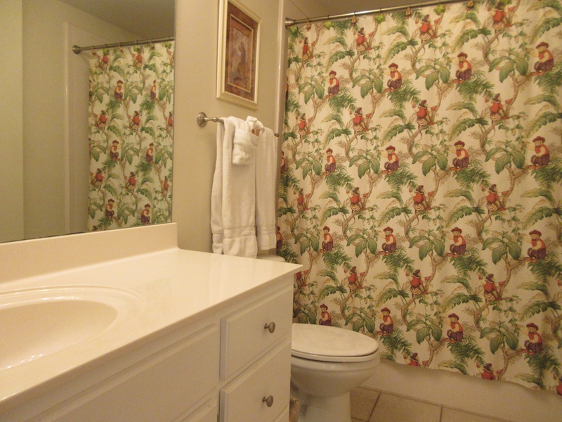 master bathroom shower & sink