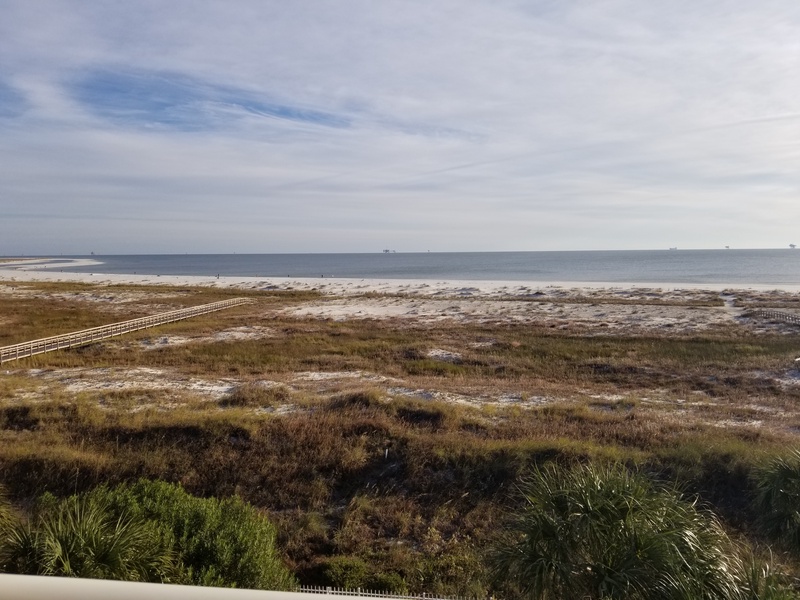 view of palms & beach