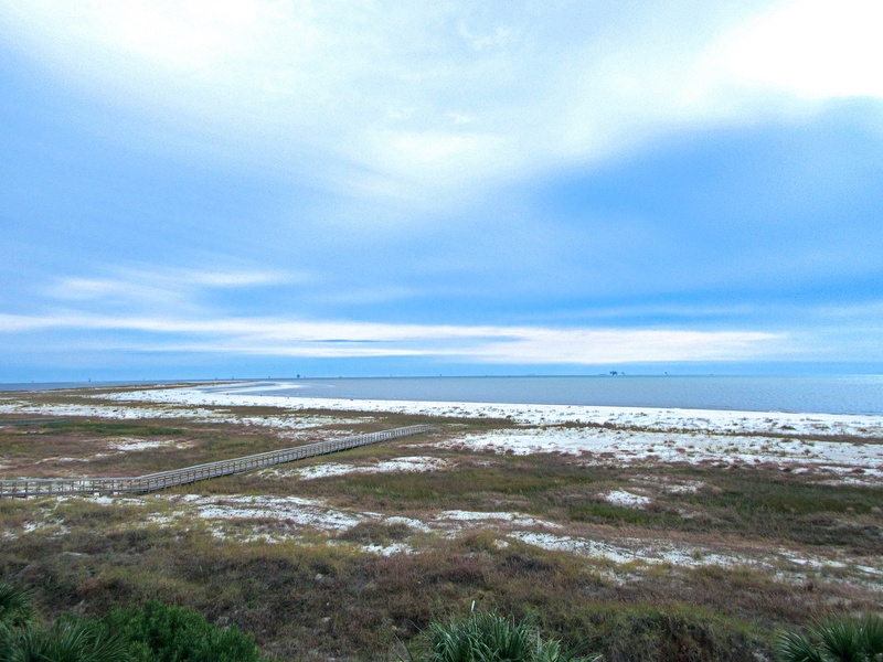view of palms & ocean