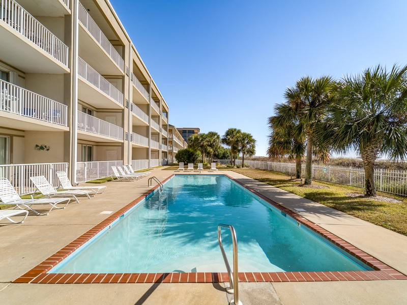 pool & chairs