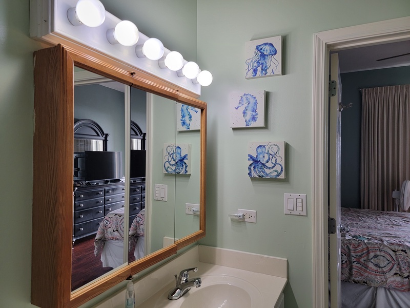 master bathroom sink & mirror