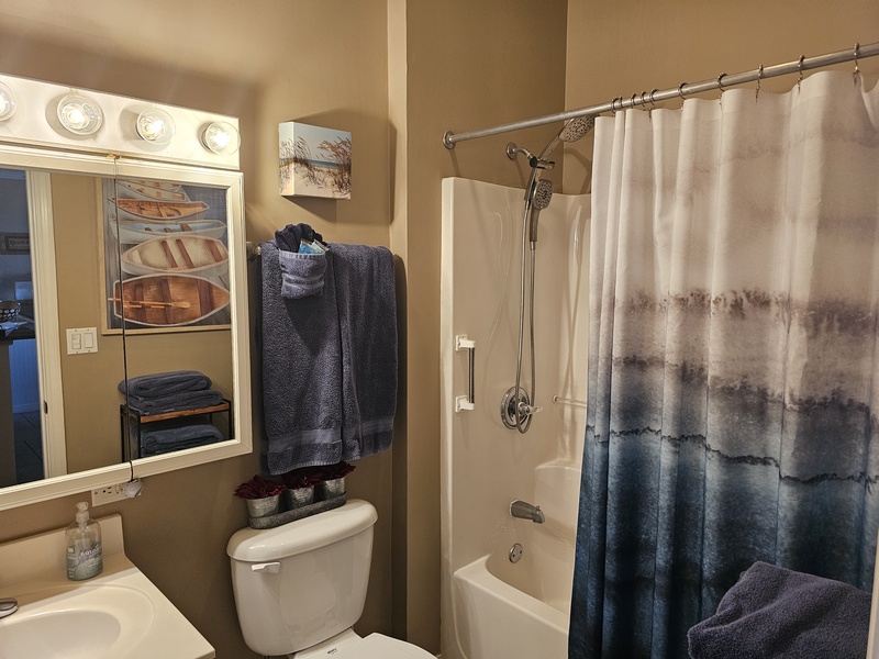 Guest Bath