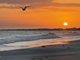 Beautiful Sunsets!