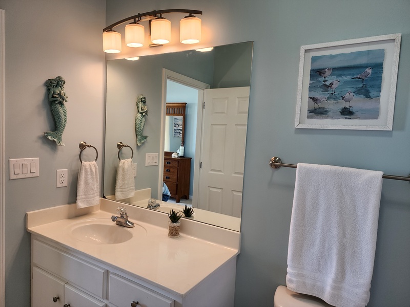 master bathroom sink & mirror