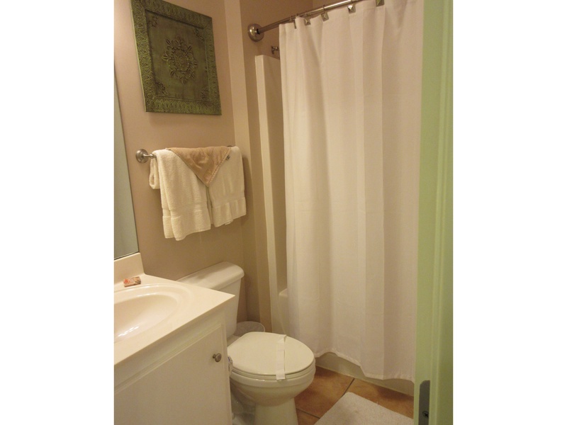 bathroom sink & shower