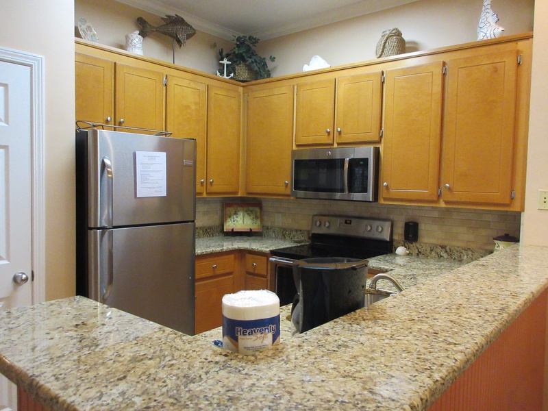 kitchen microwave & fridge