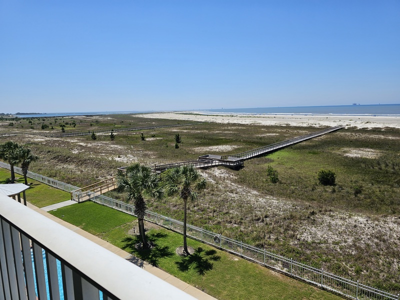 view of palms & boardwalk