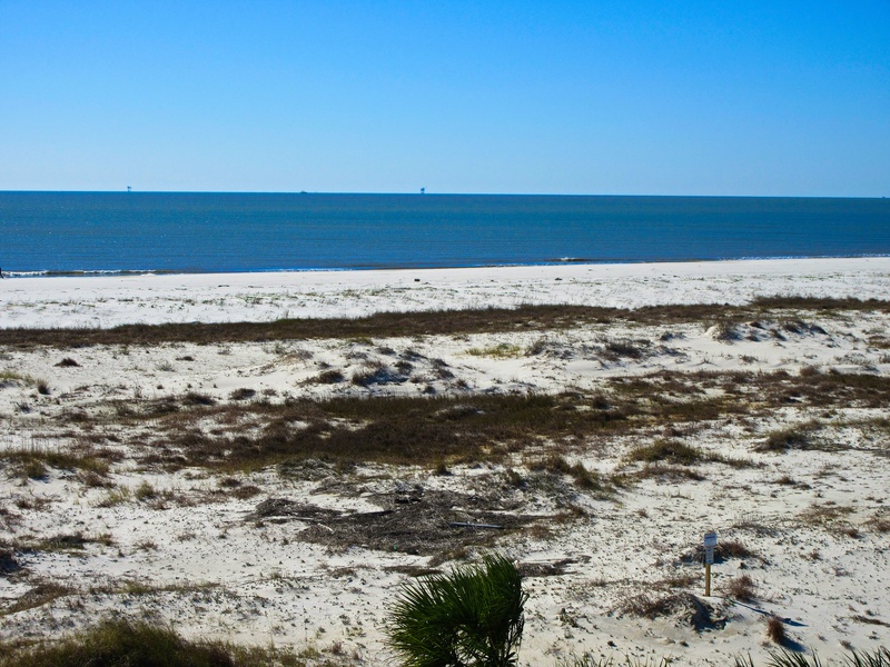 beach & ocean view