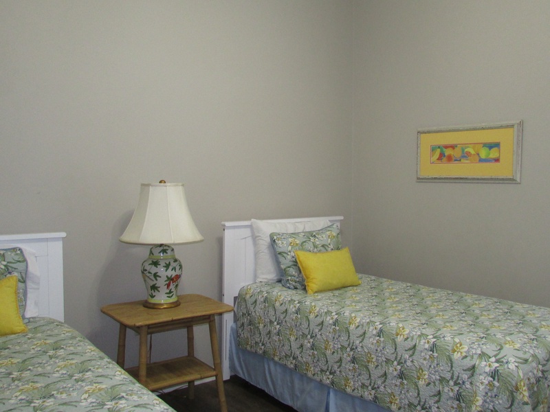 Twins in 2nd bedroom. 