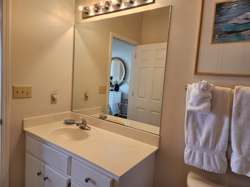 master bathroom sink & mirror