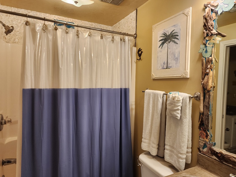 bathroom shower & towel rack