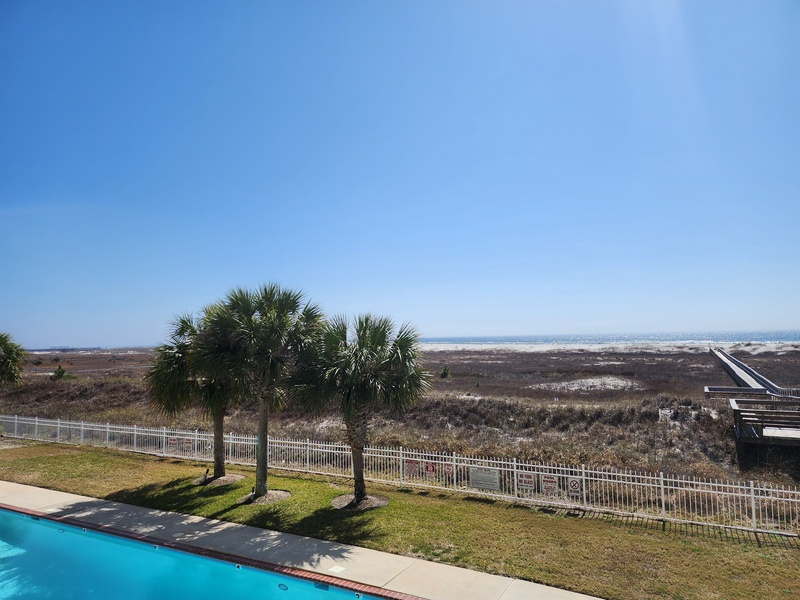 view of palms & beach
