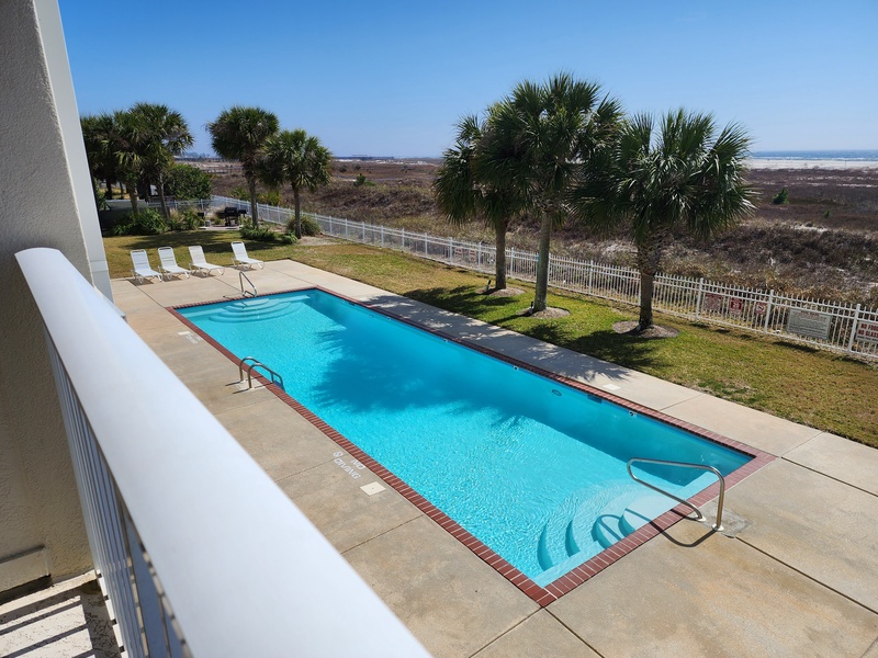 view of pool & palms