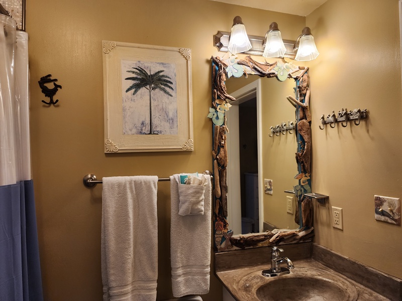 bathroom sink & mirror