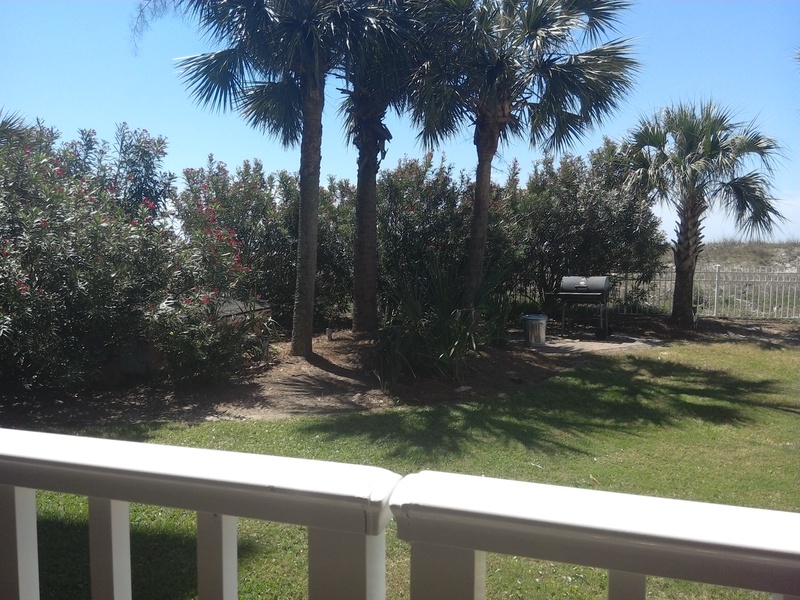 View from Patio of Palm Trees and Pool Area