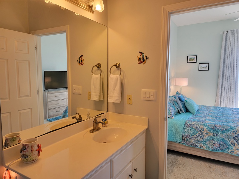 master bathroom sink & mirror
