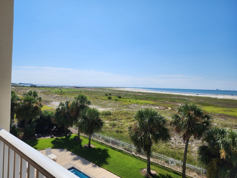 View of palms & beach