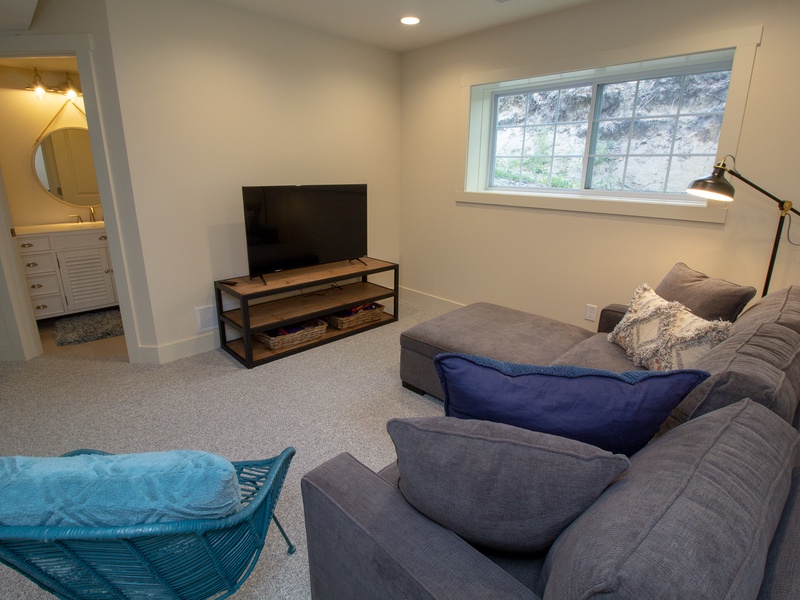 Basement  Level | Living Room