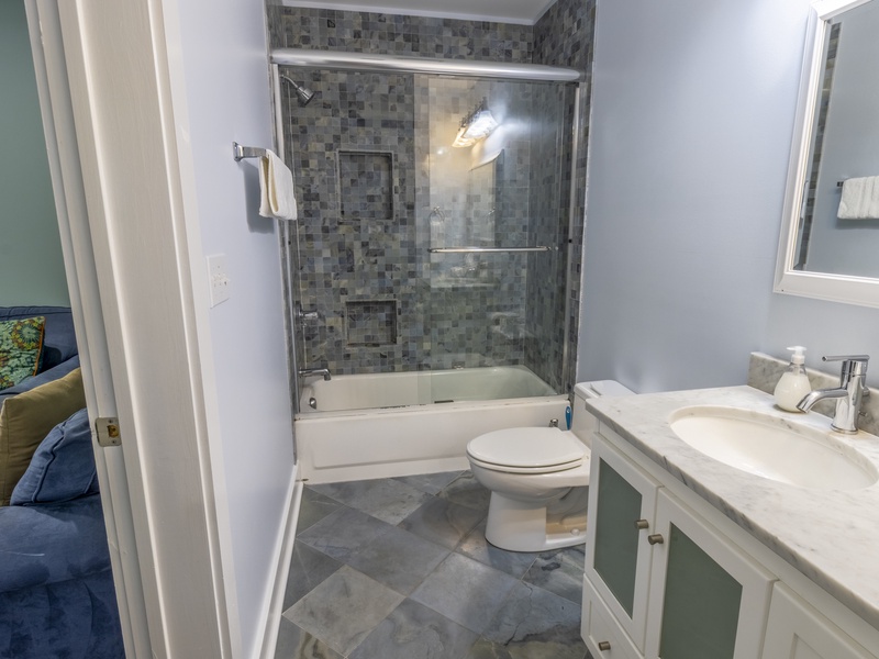 Basement Level | Full Bath | Hallway Access