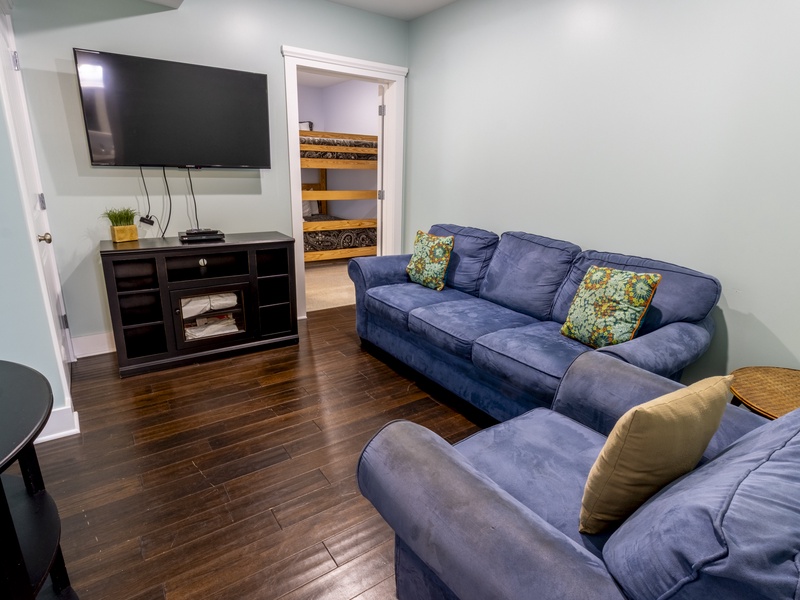 Basement  Level | Living Room