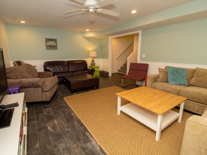 Basement living room